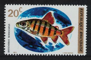 Rwanda Six-banded Distichodus Fish 1973 MNH SC#541 SG#553 MI#577