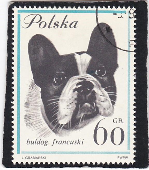 POLAND,  #   1119    used