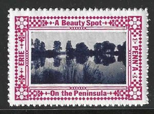 A Beauty Spot  on the Peninsula, Erie, Pennsylvania, Early Poster Stamp, N.H.