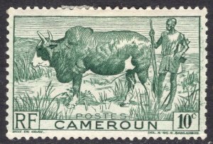 CAMEROUN SCOTT 304