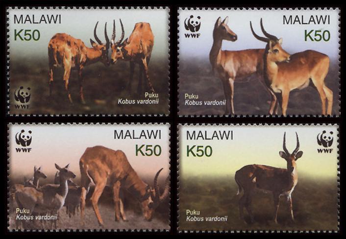 Malawi WWF Puku 4v SG#1013-1016 SC#714 a-d MI#721-724