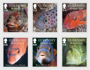 2013 Guernsey Marine Life (6) (Scott 1194-99) MNH