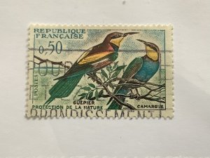 France 1960  Scott 981 used - 50c, Guepier,  Camargue, bird