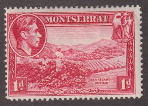 Montserrat 93 Sea Island Cotton  1942