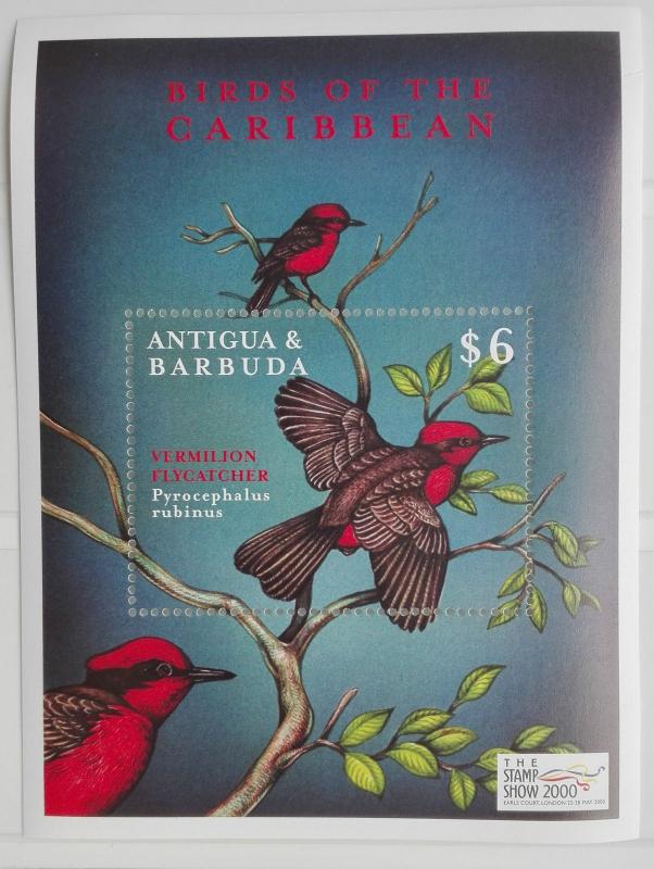 Antigua Barbuda 2000** Mi. Bl.443. Birds of the Caribbean MNH [18;181]