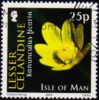 Isle of Man. 2004 25p S.G.1140 Fine Used