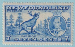 NEWFOUNDLAND 235  MINT HINGED OG * NO FAULTS VERY FINE! - JIC