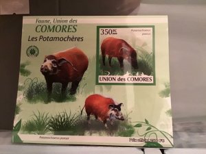 Comoro Islands 2009 Hogs mint never hinged stamp sheet R24073