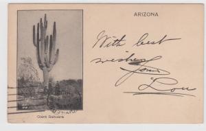 Phoenix AZ Territory Machine Cancel on Postcard 1902