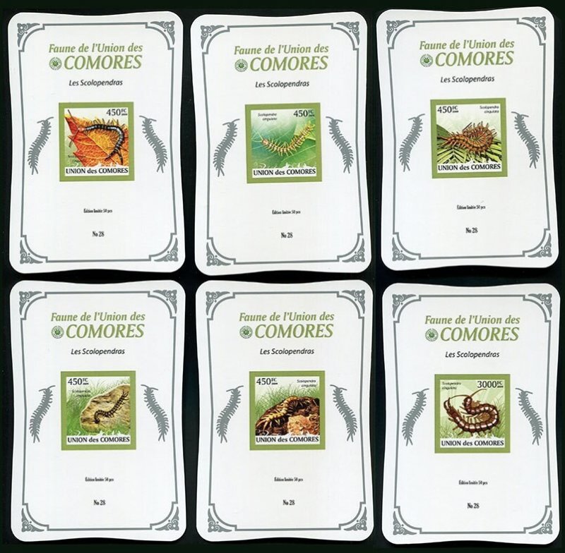 Ly502 2009 Comoros Scolopendras Insects Fauna Silver ! Cardboard 6Bl Mnh
