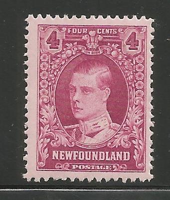 NEWFOUNDLAND 166  MINT HINGED PRINCE OF WALES