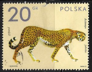 Poland #1888 20g Zoo Animals - Cheetah - Used