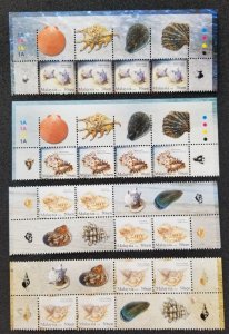 *FREE SHIP Malaysia Seashell 2008 Sea Beach Marine Life Shell (stamp margin MNH