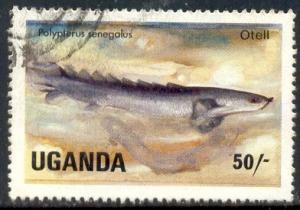 Fish, Gray Bichir (Polypterus Senegalus), Uganda SC#434 used