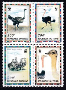 Chad, Fauna, WWF, Birds MNH / 1996