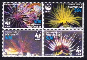 Micronesia WWF Feather Stars 4v Block of 4 2005 MNH SC#659 a-d