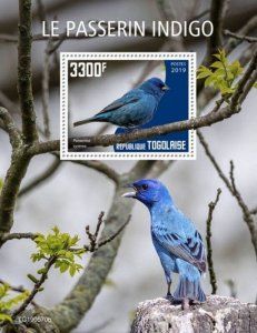 Togo - 2019 Indigo Bunting Bird on Stamps - Stamp Souvenir Sheet - TG190570b