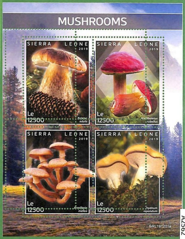 A2562 - SIERRA LEONE - ERROR: MISPERF, miniature sheet - 2019, mushrooms-