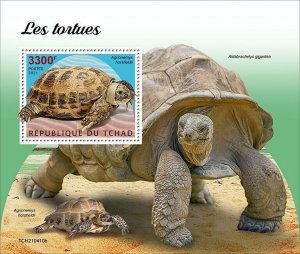 2021/10- CHAD - TURTLES                            1V complet set MNH  T