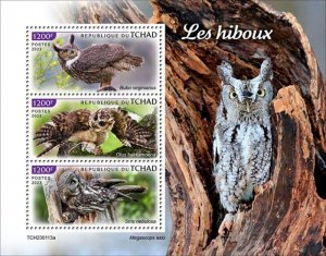 Chad - 2023 Owls, Great Horned Owl, Great Grey Owl - 3 Stamp Sheet - TCH230113a