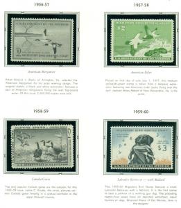 US DUCK STAMP COLLECTION - #RW1-73, Complete to 2006, NH in album Scott $5,779