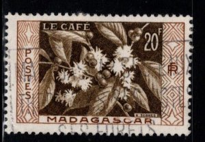 Madagascar Scott 296 Used 1956 Coffee stamp