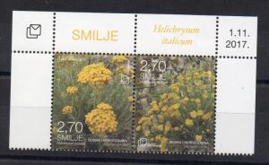 BOSNIA-HERZEGOVINA - MOSTAR - FLOWERS - 2017 -