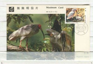 CHINA PRC; 1984 special Illustrated stamped POSTAL  CARD Birds issue