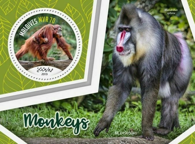 Z08 MLD190304b MALDIVES 2019 Monkeys MNH ** Postfrisch