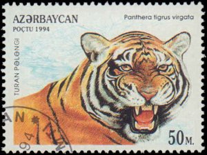 Azerbaijan #464-468, Complete Set(5), 1994, Big Cats, Used, CTO