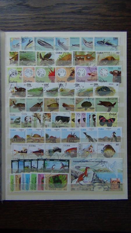 1975 1989 Whales Vets Reptiles Turtles Cattle Fish Birds Beetles sets VFU