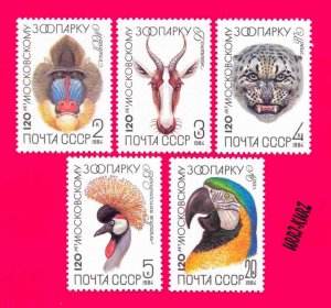 USSR Russia 1984 Nature Fauna Animals Birds Monkey Ape Parrot from Moscow Zoo 5v