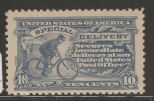 U.S. Scott #E11 Special Delivery Stamp - Mint NH Single - MSO