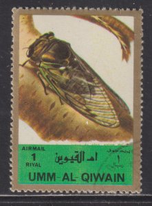 UAE Umm Al Qiwain Unlisted  Insects & Nature