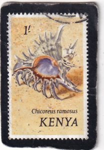 Kenya   #   45   used