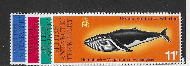 British Antarctic Territory Sc 64-67 Whales set of 4 NH VF