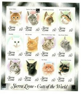 Sierra Leone 1994 - Cat Breeds, Hong Kong OVPT - Sheet of 12v - Scott 1643 - MNH