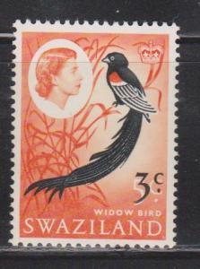 SWAZILAND Scott # 138 MNH - QEII & Widow Bird With Surcharge