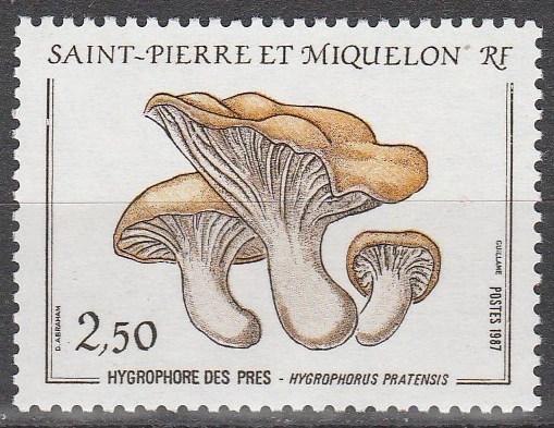 St Pierre & Miquelon #487 MNH  (S7913)