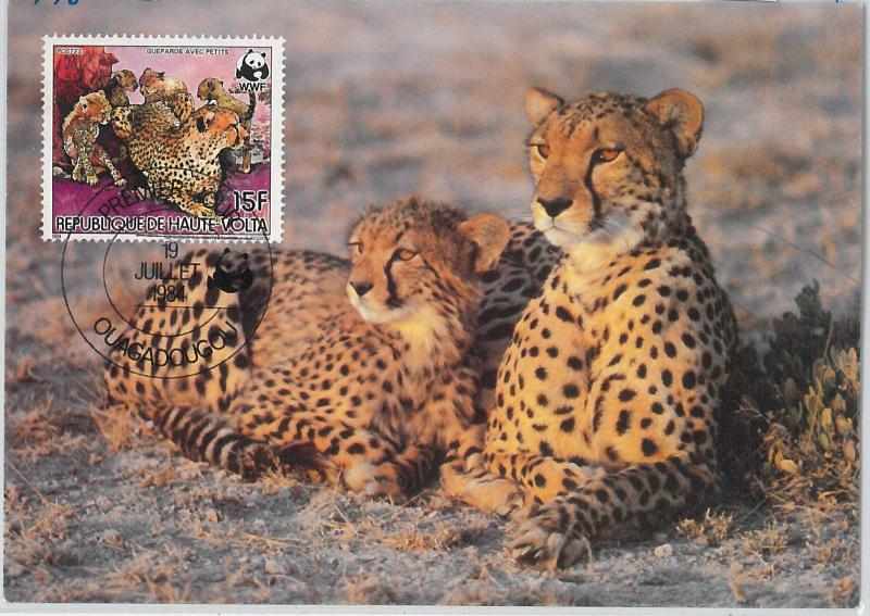 62879 -  Haute-Volta Upper Volta  - POSTAL HISTORY: MAXIMUM CARD 1984 - WWF