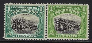 Mozambique Company 110 VFU Z5866