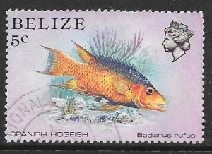 Belize 703: 5c Spanish Hogfish (Bodianus rufus), used, VF
