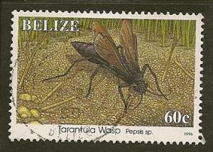 Belize   Scott     1041     Insect      Used