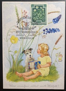 1958 Vienna Austria Picture postcard First Day cover FDc Mother ��s Day