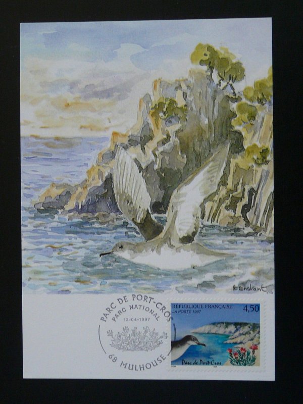 bird gull marine national park maximum card France 1997