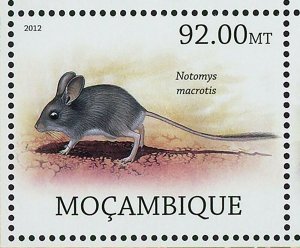 Rodents Stamp Pseudomys Gouldii Megalomys Luciae Souvenir Sheet MNH #5692-5699