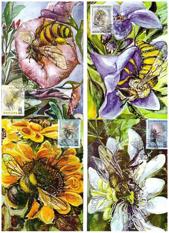 Bulgaria 2003  a set of 4 maximumcards Honeybees Sc.#4259-62