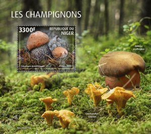 Niger 2019 MNH Mushrooms Stamps Leccinum Boletus Fungi 1v S/S 