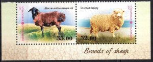 Kyrgyzstan 2015 Breeds of Sheep set of 2 MNH