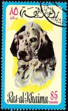 Dog, Ras Al Khaima stamp used